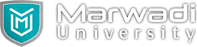 Marwadi University